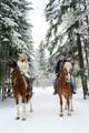 Фото прогулки на лошадях. Шуваловский парк